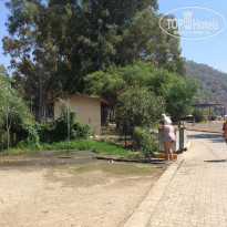 фото из отзыва ID 1277250