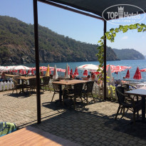 фото из отзыва ID 1277250