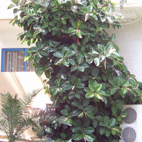 фото из отзыва ID 1277273