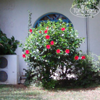 фото из отзыва ID 1277273