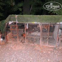 фото из отзыва ID 1277293