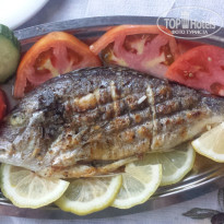 фото из отзыва ID 1277492