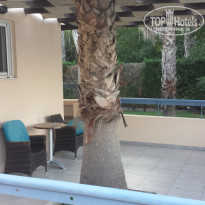 фото из отзыва ID 1277492