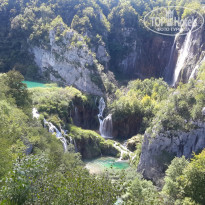 фото из отзыва ID 1277606