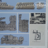 фото из отзыва ID 1277606