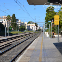 фото из отзыва ID 1277667