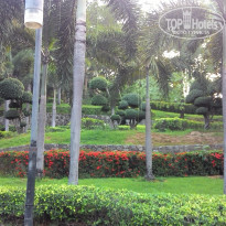 фото из отзыва ID 1278103