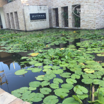 фото из отзыва ID 1278233