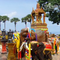 фото из отзыва ID 1278350