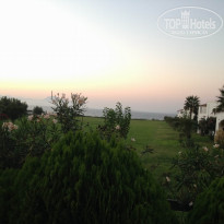 фото из отзыва ID 1278403