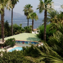 фото из отзыва ID 1278437