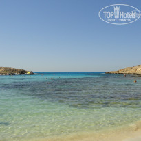 фото из отзыва ID 1278500