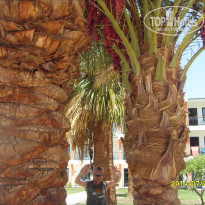 фото из отзыва ID 1278625