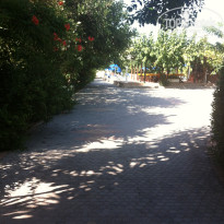 фото из отзыва ID 1279219