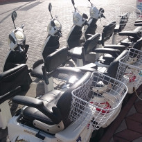 фото из отзыва ID 1279566