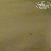 фото из отзыва ID 1279652