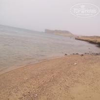 фото из отзыва ID 1279807