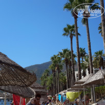 фото из отзыва ID 1279931