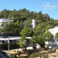 фото из отзыва ID 1279931