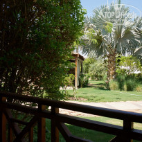 фото из отзыва ID 1279971