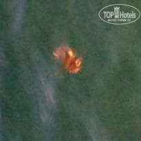 фото из отзыва ID 1276174