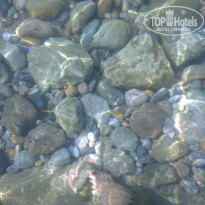 фото из отзыва ID 1277133