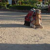 фото из отзыва ID 1275418