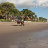 фото из отзыва ID 128017