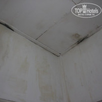 фото из отзыва ID 128017