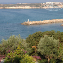 фото из отзыва ID 128389