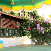 фото из отзыва ID 1280065