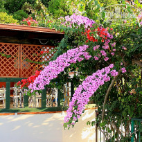 фото из отзыва ID 1280065