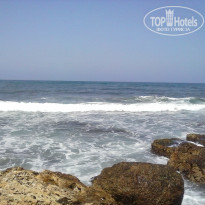 фото из отзыва ID 1280108