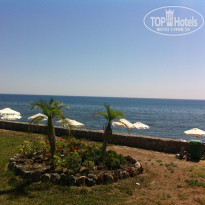 фото из отзыва ID 1280311