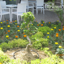 фото из отзыва ID 1280451