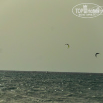 фото из отзыва ID 1280497