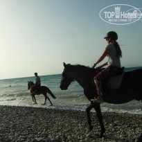 фото из отзыва ID 1280497