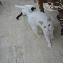 фото из отзыва ID 1280128