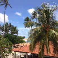 фото из отзыва ID 1280710