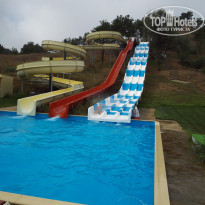 фото из отзыва ID 1280857