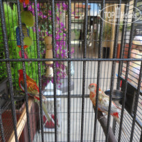 фото из отзыва ID 1280859