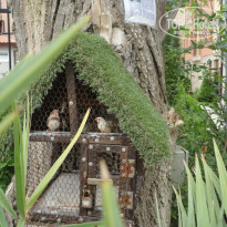 фото из отзыва ID 1280859