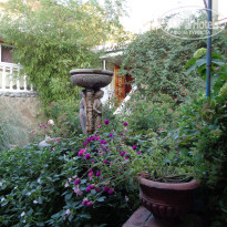 фото из отзыва ID 1280953