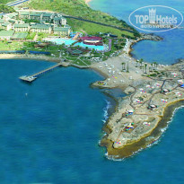 фото из отзыва ID 1280951