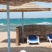 фото из отзыва ID 1280988