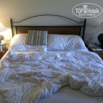 фото из отзыва ID 1281043