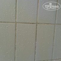 фото из отзыва ID 1281043