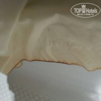 фото из отзыва ID 1281043