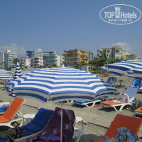 фото из отзыва ID 1281215