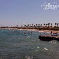 фото из отзыва ID 1281455